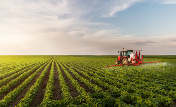 istock Tractor spraying pesticides at  soy bean fields 1092630884