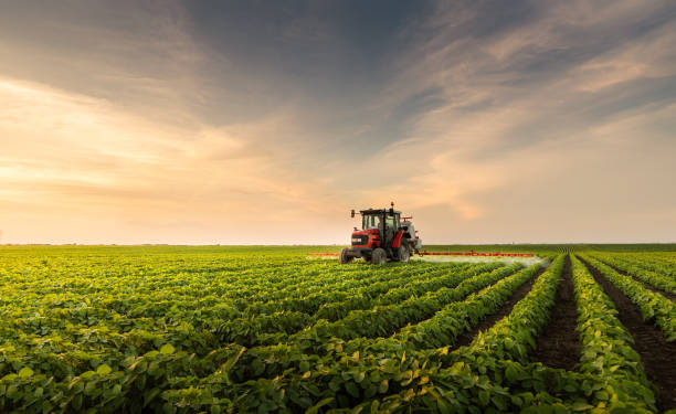istock Tractor spraying pesticides at  soy bean fields 1092630886