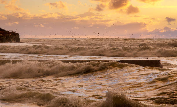 istock storm waves at sunset and seagulls 1092631032