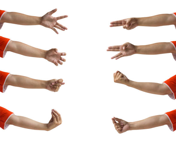 istock Cropped of female hand gesture set isolated on white background. Clipping path include. 1092633520