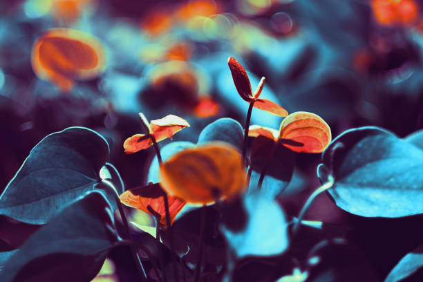 istock Tropical flowers in close up background. green concept, Tropical forest, modern creative background. 1092633540