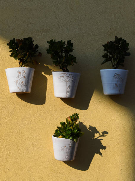 istock Plants in pots hanging on the wall 1092635840
