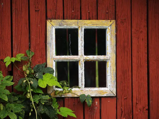 small window, detail of a typical Swedish wood house