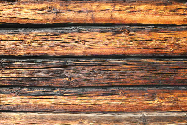 os logs de pinho parede textura real - cabin photography europe tree - fotografias e filmes do acervo