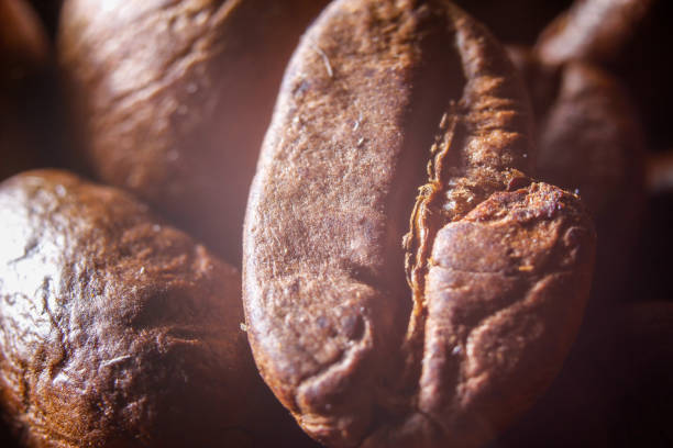fresh roasted coffee beans