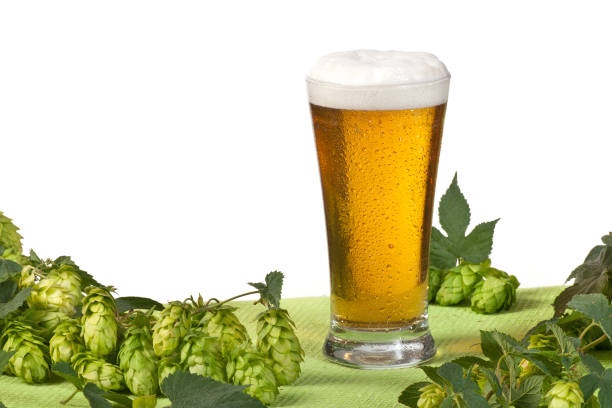 istock Glass of beer and hops on the white background 1092649148
