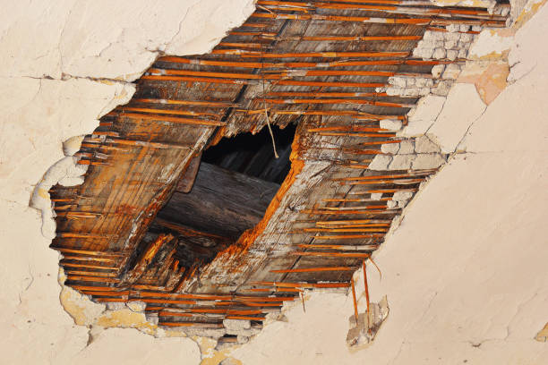 hole in the ceiling after fungus attack stock photo