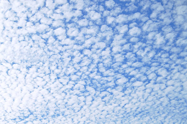 A horizontal click of clustered small white blobs of clouds studded in open blue sky. The clouds are like soft balls of cotton, Fluffy white cloud gives the pic a magical smoky look. The bright blue sky is fully covered with white soft cotton like blobs of clouds. No text. No people
