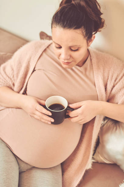 Beautiful pregnant woman touching her belly and drinking coffee/tea while enjoying at home. stock photo