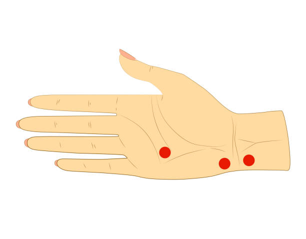 ilustrações de stock, clip art, desenhos animados e ícones de the inner side of the woman's right hand with dots for acupuncture massage - massaging human hand massage therapist vector