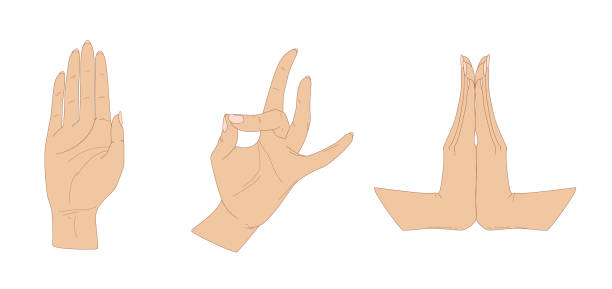Three female hands in characteristic gestures of Indian dance Three female hands in characteristic gestures of Indian dance, vector illustration, isolated on white background anjali mudra stock illustrations