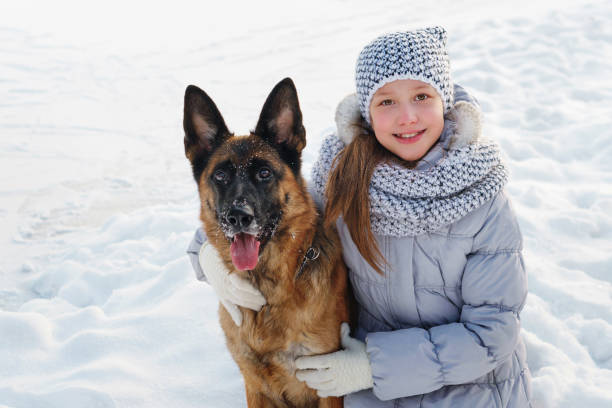 istock Cute girl and German shepherd. Winter 1092661632