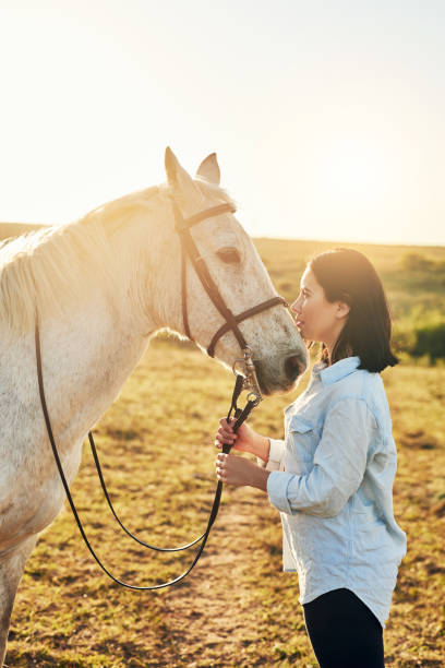 istock The special bond between a horse and it's owner 1092669162