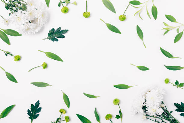 istock Flat lay composition of fresh flowers and green leaves 1092671476