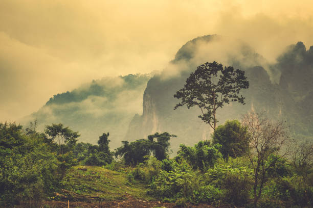 Extreme terrain landscape misty Phangern mountain range, Vang Vieng, Laos Dawn is breaking on a misty morning in Vang Vieng, Laos. This stunning view is looking towards the Phangern Mountains. These are a massive mountain range of limestone karst, which surround the small village. Cool blues, greens and orange colours highlight the beautiful scenery. forest humid stock pictures, royalty-free photos & images