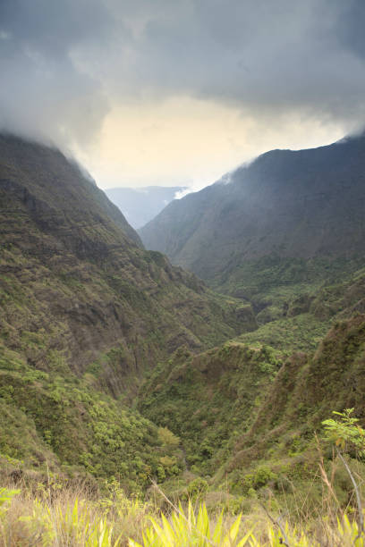 istock vertical landscape at reunion island 1092676490
