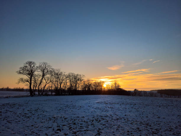 istock Leafless tree at the sunset in the winter 1092679584