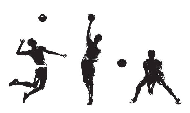 ilustrações de stock, clip art, desenhos animados e ícones de group of volleyball players, set of isolated vector silhouettes. team sport, active people. beach volleyball - volleying sport summer men