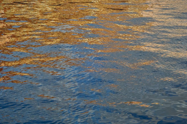 istock Golden blue shimmering water waves in the sunlight 1092686252