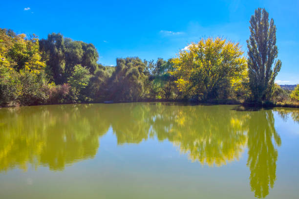 istock idyllic nature with lake 1092691662