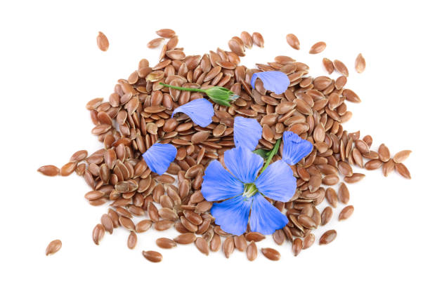 istock flax seeds with flower isolated on white background 1092702486