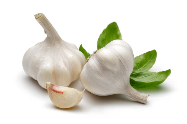 istock Whole garlic and garlic clove with basil leaves 1092706476