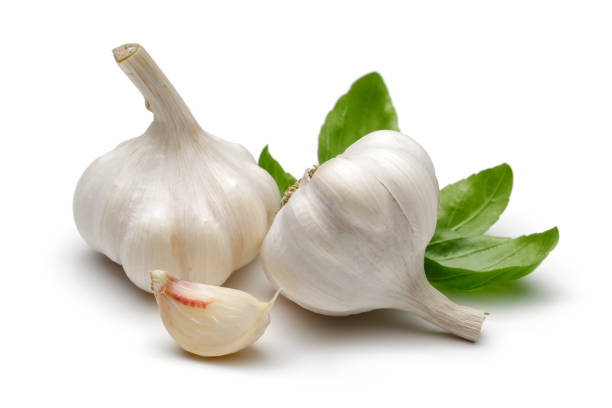 цельный зубчик чеснока и чеснока с листьями базилика - garlic freshness isolated vegetarian food стоковые фото и изображения