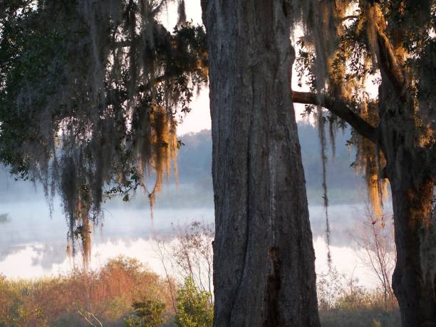 istock Foggy November lake reflection 1092712550