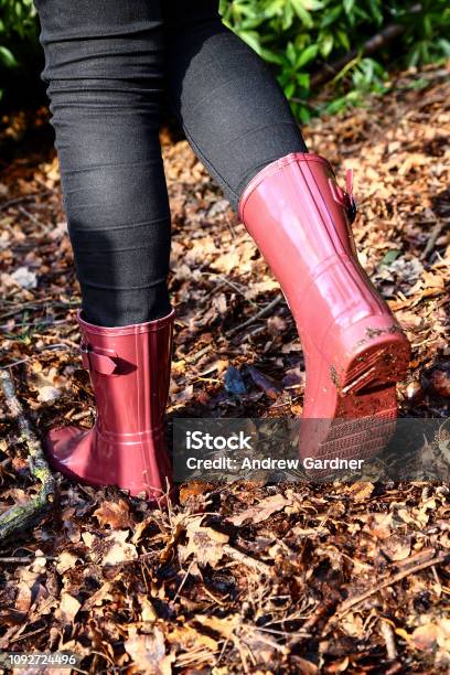 Young Woman Walking Through Parkland In Wellington Boots Stock Photo - Download Image Now -