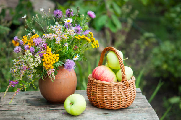 istock wildflowers and apples on gardrn table, still life 1092724750