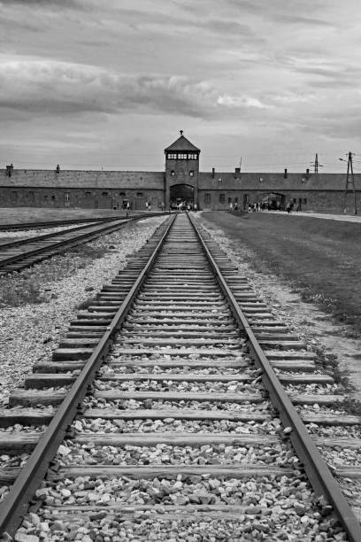 birkenau wachturm tor - prison architecture black white stock-fotos und bilder