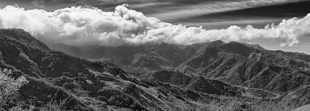 istock Monteverde Cloud Forest Reserve in Costa Rica, black and white 1092744342