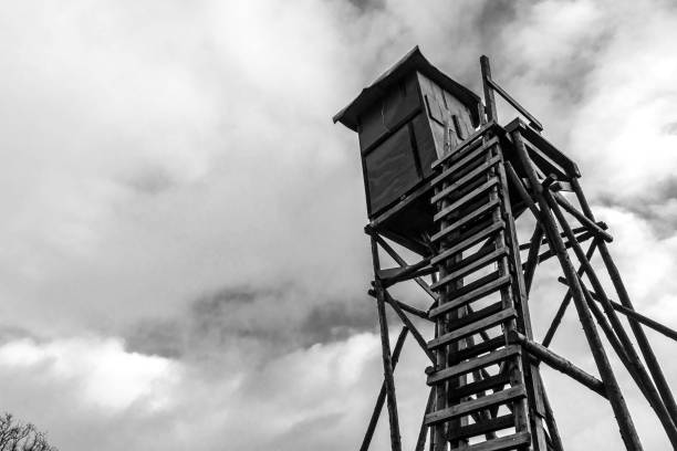 istock Wooden tower for foresters and hunters 1092744804
