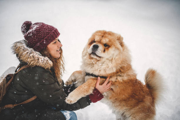 istock Girl and her dog in snow 1092760154