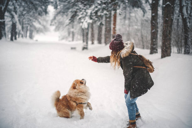 Girl and her dog in snow