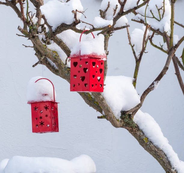 istock decorative red lanterns with hearts on a snow covered rose bush in winter 1092766450
