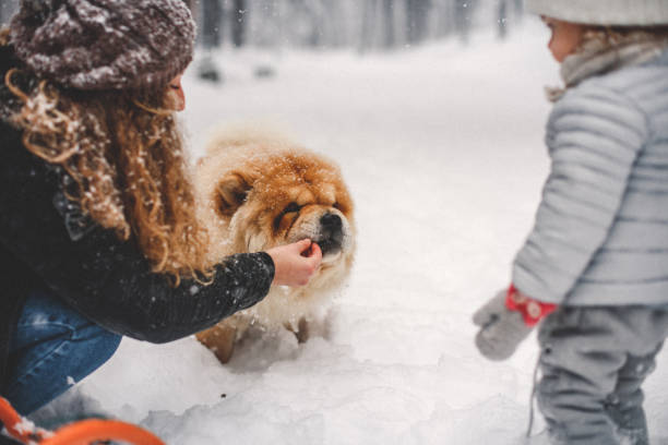 istock Party time in snow 1092767144