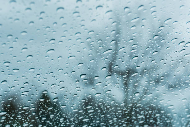 istock Drops of rain on the window; blurred trees in the background 1092769462