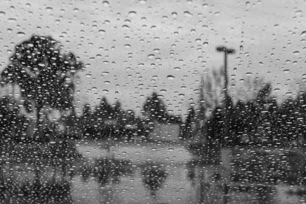 istock Drops of rain on the window; blurred trees in the background 1092769468