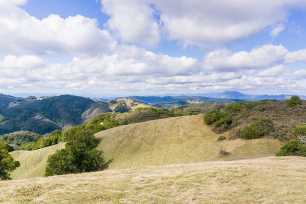 paysage à sugarloaf ridge state park, comté de sonoma, californie - dry white blue northern california photos et images de collection