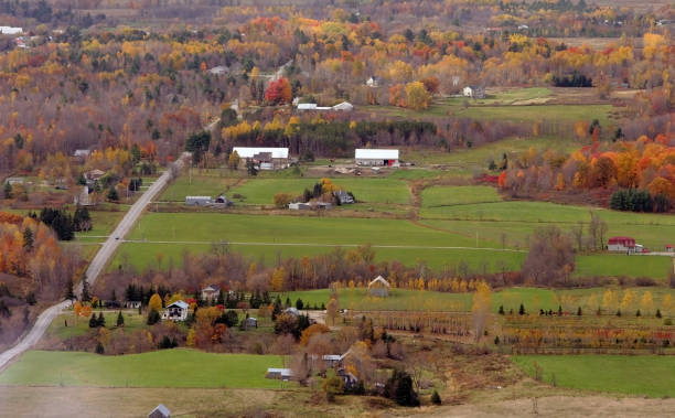 istock Autumn at Gatineau Park 1092772630