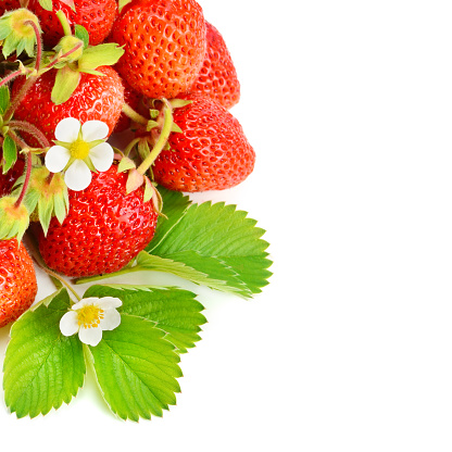Strawberries and green leaves isolated on white background. Free space for text.