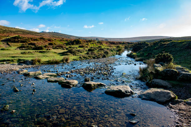Stepping stones cross the River Lyd Stepping stones cross the River Lyd on a sunny January day on Dartmoor near Widgery Cross. dartmoor photos stock pictures, royalty-free photos & images