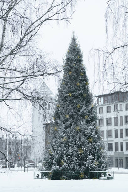 istock Spruce in the Christmas Town Square 1092779294