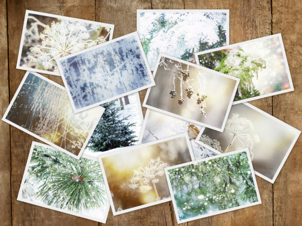 istock Winter photo collage. Selective focus. nature winter 1092790082