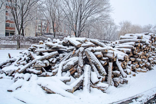 istock Firewood in a winter warehouse 1092790550