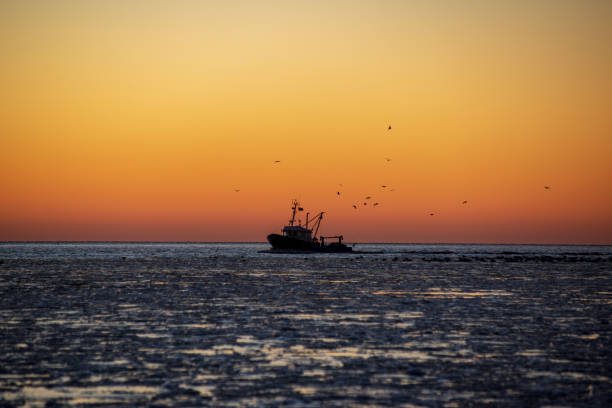istock dramatic red sunset over the frozen sea on the beach 1092790758