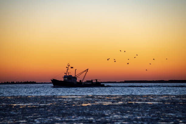 istock dramatic red sunset over the frozen sea on the beach 1092790776
