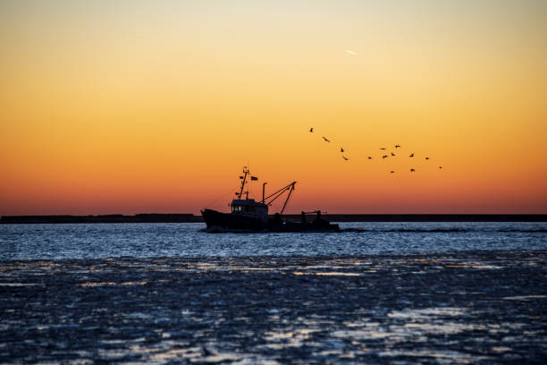 istock dramatic red sunset over the frozen sea on the beach 1092790788