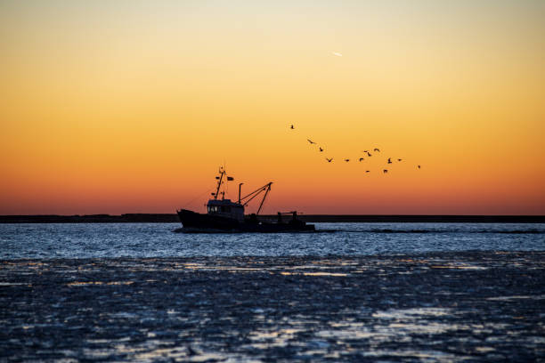 istock dramatic red sunset over the frozen sea on the beach 1092790790